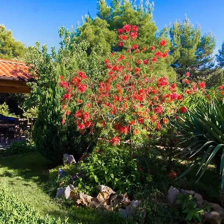 Appartement Vesna Grebaštica