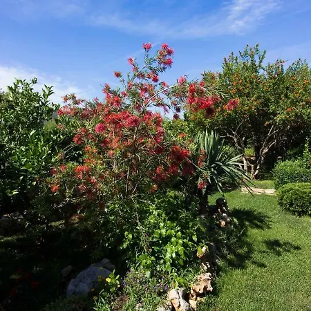 Appartement Vesna Grebaštica