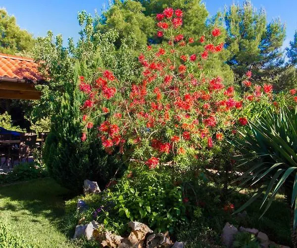 Appartement Vesna Grebaštica