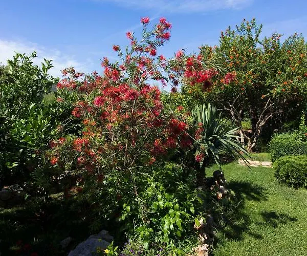 Appartement Vesna Grebaštica